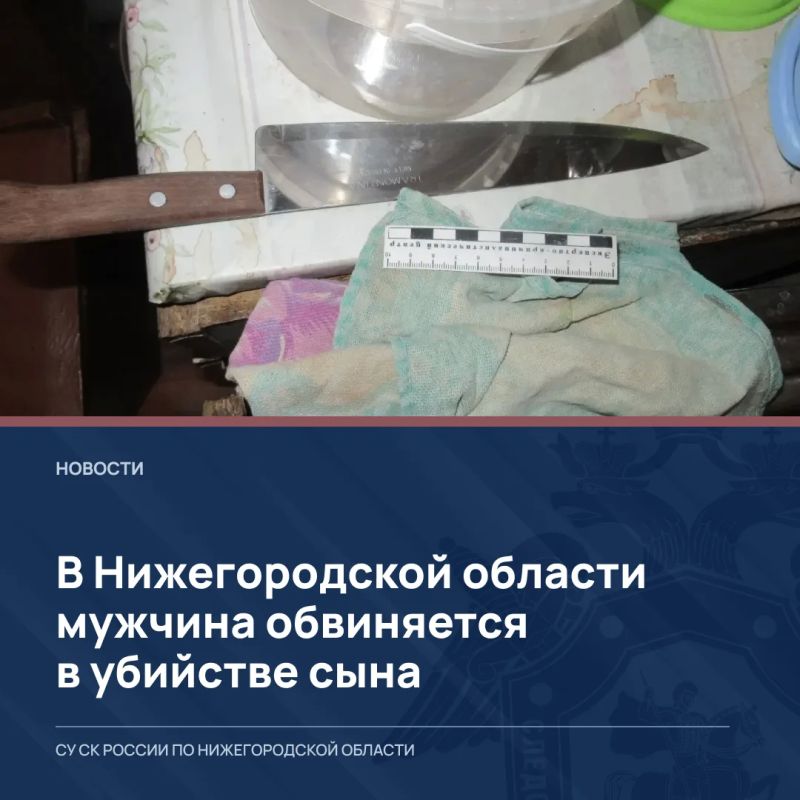 В Нижегородской области мужчина обвиняется в убийстве сына