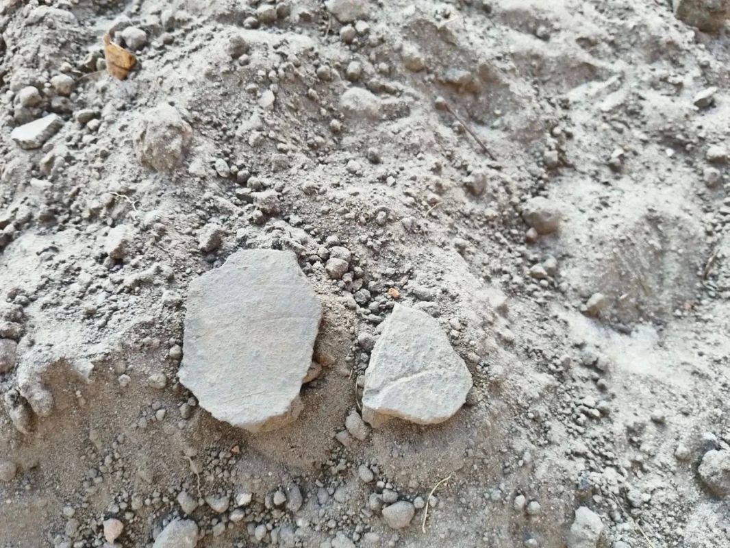 Археологи приступили к обследованию территории сквера Ворожейкина в Городце Археологи приступили к обследованию территории сквера Ворожейкина в Городце