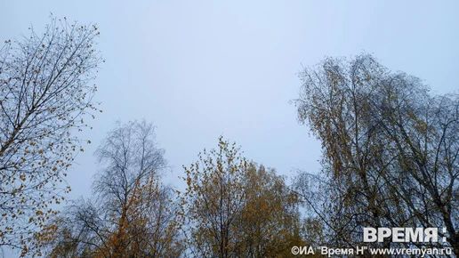 Три мирных жителя пострадали при отражении атаки БПЛА в Городецком округе