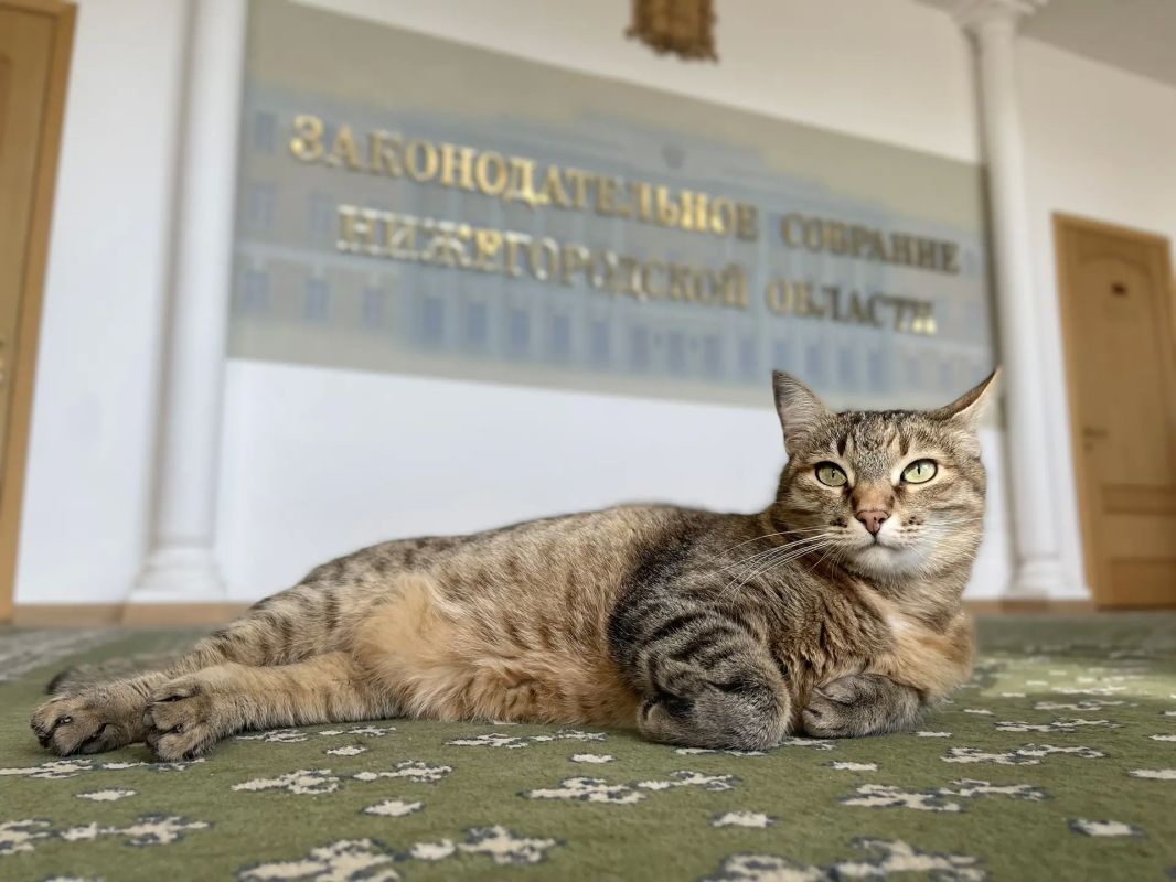 24 октября вошло в историю необычным законодательным актом