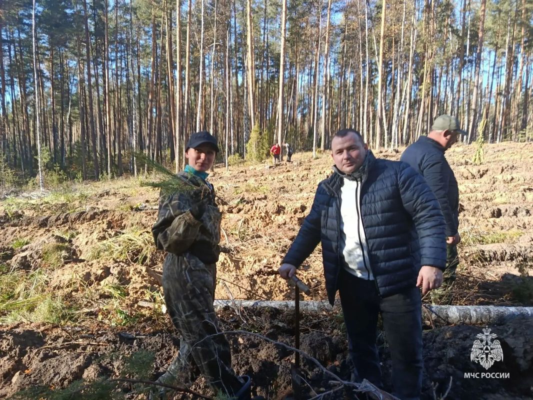 Вклад в будущее. В рамках всероссийской экологической акции «Зеленая Россия» сотрудники МЧС приняли активное участие в масштабном озеленении нашего региона Вклад в будущее. В рамках всероссийской экологической акции «Зеленая Россия» сотрудники МЧС приняли активное участие в масштабном озеленении нашего региона