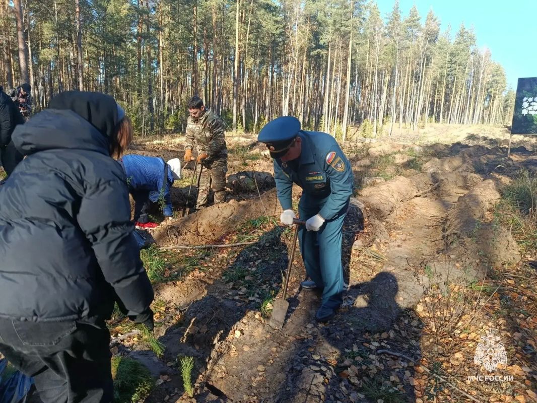 Вклад в будущее. В рамках всероссийской экологической акции «Зеленая Россия» сотрудники МЧС приняли активное участие в масштабном озеленении нашего региона Вклад в будущее. В рамках всероссийской экологической акции «Зеленая Россия» сотрудники МЧС приняли активное участие в масштабном озеленении нашего региона