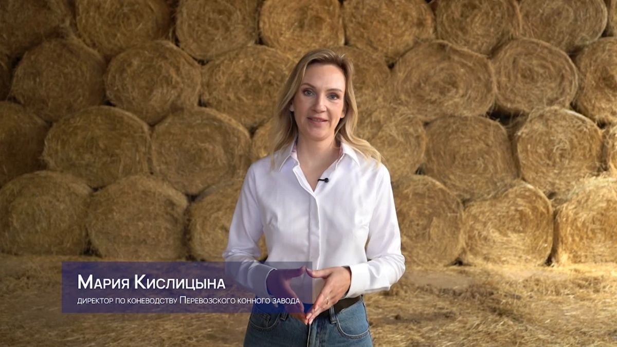 Финальная серия проекта «Здесь моё место» — о тех, кто решил изменить свою жизнь и переехал в Нижегородскую область! Финальная серия проекта «Здесь моё место» — о тех, кто решил изменить свою жизнь и переехал в Нижегородскую область!