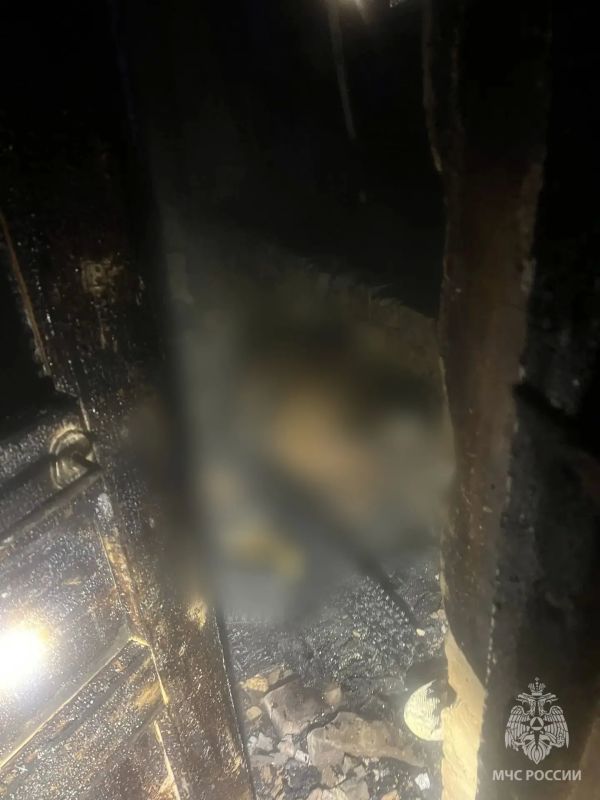 Мужчина погиб на пожаре в Богородске Мужчина погиб на пожаре в Богородске