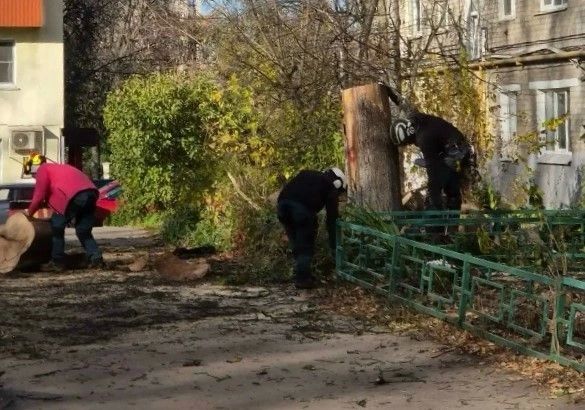 Иван Корниенко помог жильцам многоквартирного дома привести в порядок дворовую территорию Иван Корниенко помог жильцам многоквартирного дома привести в порядок дворовую территорию