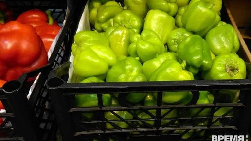 Около 545 кг плодоовощной продукции изъято из оборота в Нижегородской области с начала года