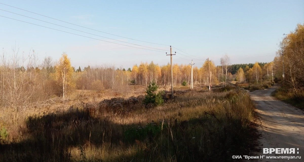 Опубликован прогноз погоды на ноябрь в Нижегородской области