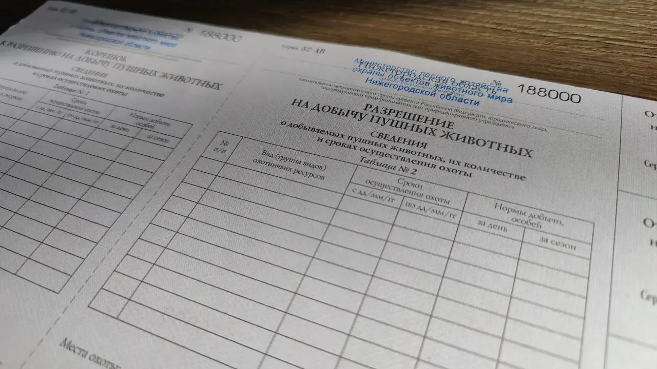 В Нижегородской области с 1 ноября открывается сезон охоты на пушных животных