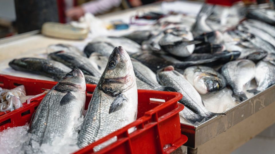 Замороженная или живая: удивитесь, какая рыба на самом деле безопаснее и вкуснее