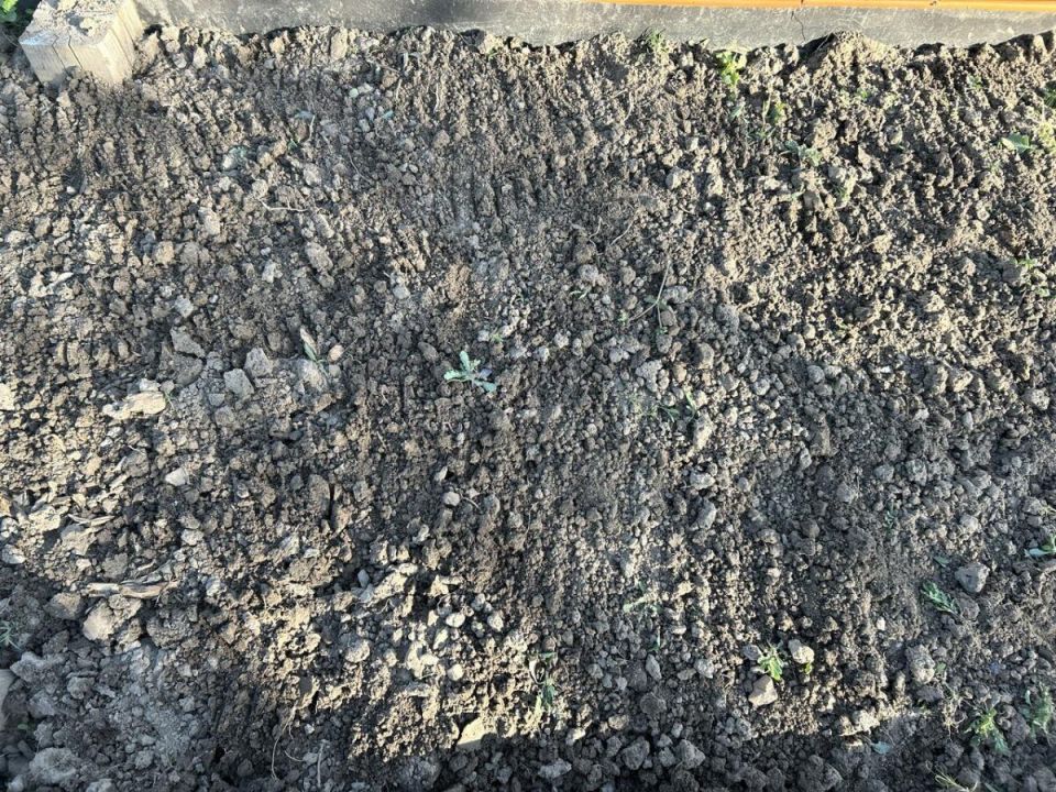 Как метод блокировки почвы становится новым стандартом в экологичном садоводстве