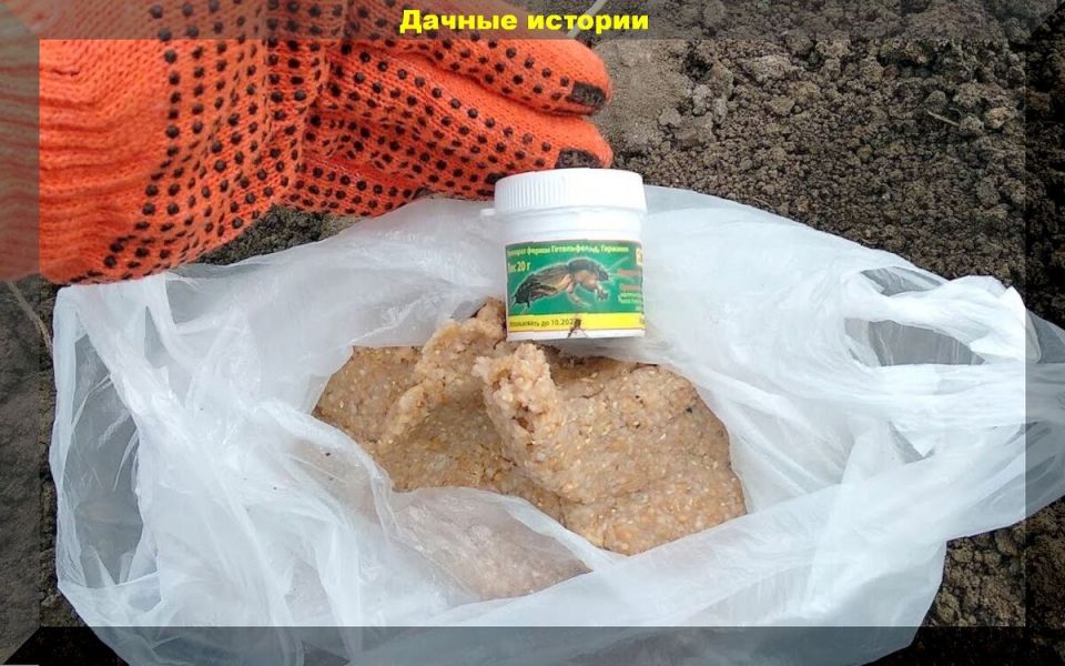 Эффективные методы борьбы с медведкой на даче