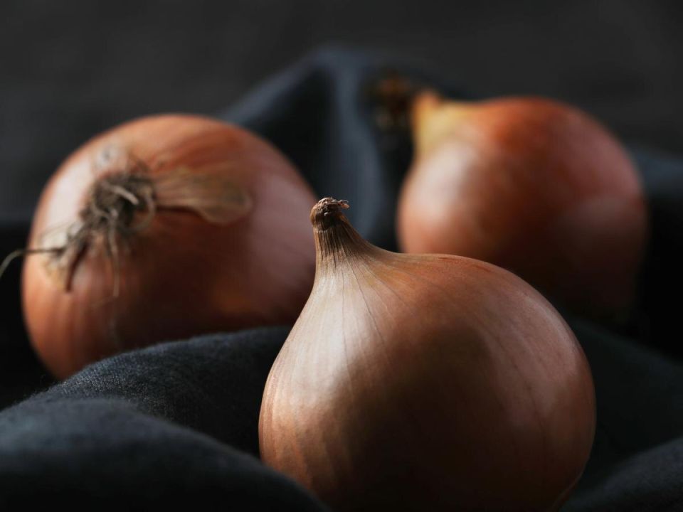 ��� ������� ������ ����� ����� ����� ������ ������ � ����