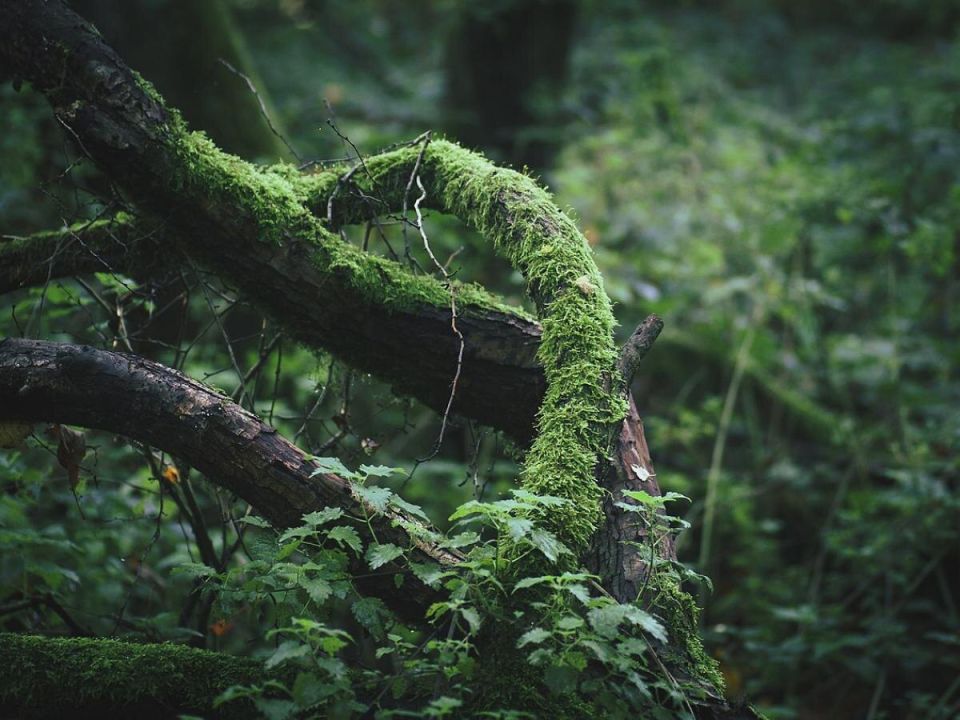 ��������� � ��� �� ��������: ������� ���� ��� ��������� ������?