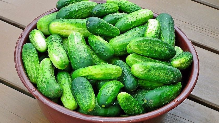 ��� ��������� ������ �� ����� ������: ������� ������� ��������