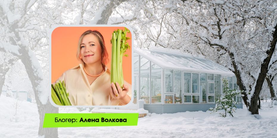 ���������� ������� � ����: ����������� ���-����