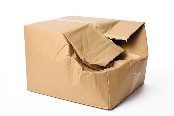 ������� ������������ �����: ��� �������� ���� ����� � 2025 ����