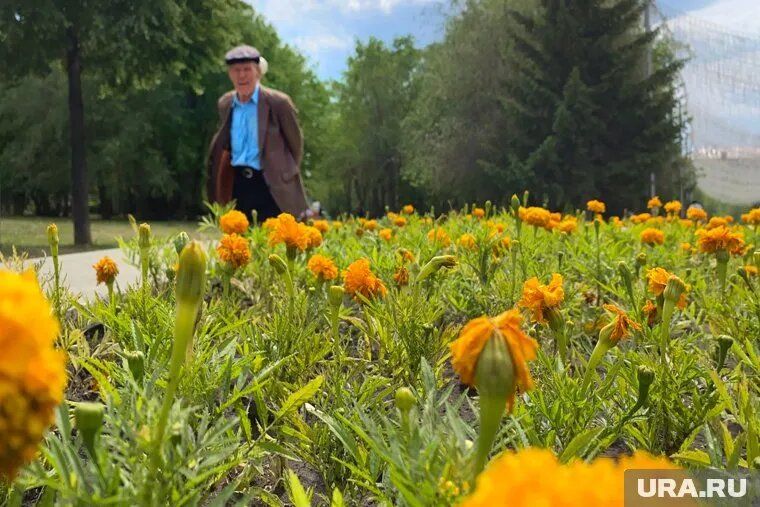 ������: ���������� �������-�� �����������, �� ��� ��� ������ ��� �������?