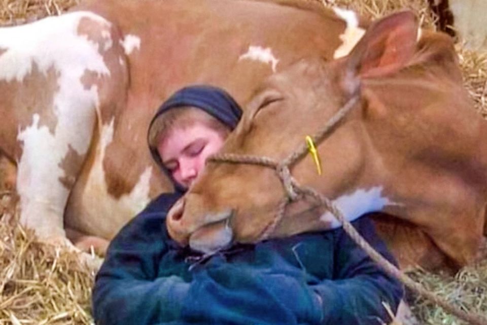 ���������� �������, ������������� �� �����������: ������ �� ��������� �����