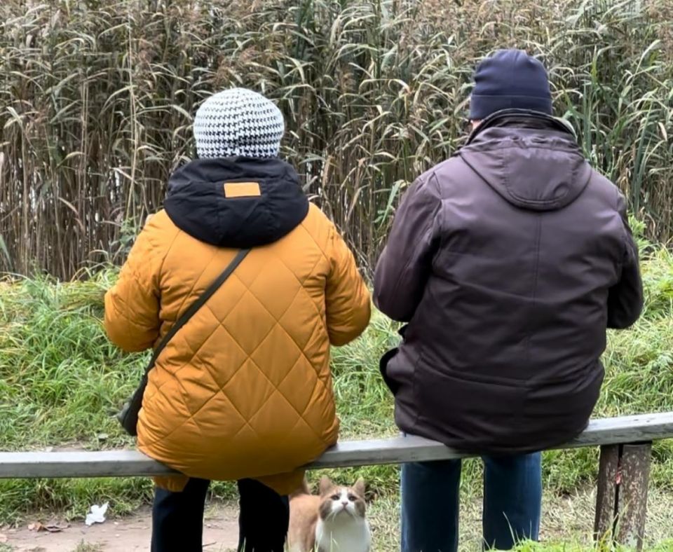 ��� ������� �������� � ������ � ������: ������ ������ �������