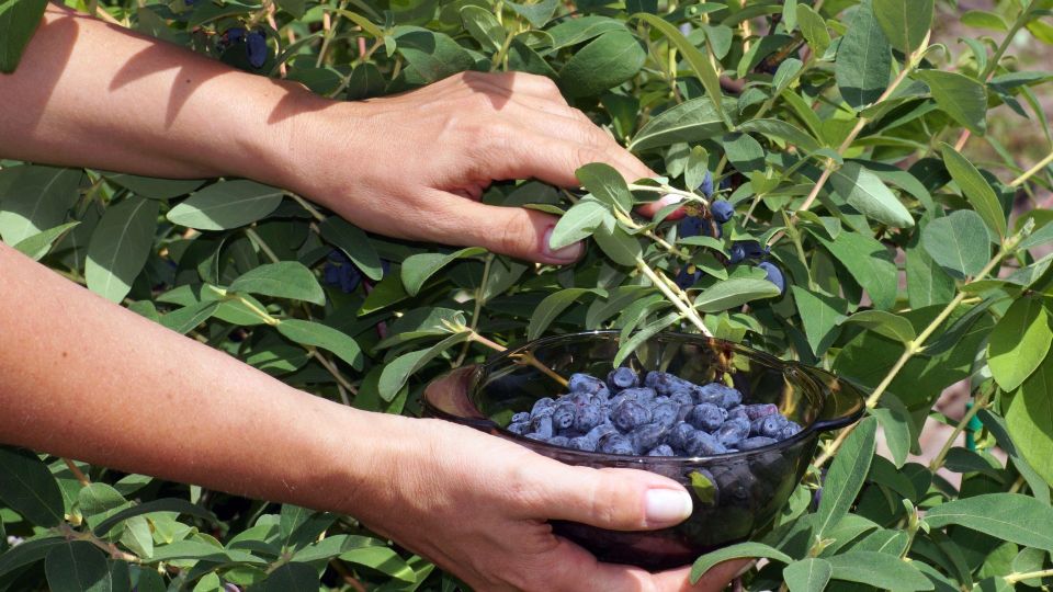 �� ���������� ����� �� ���������: ������� ������ ������ ������ ���������