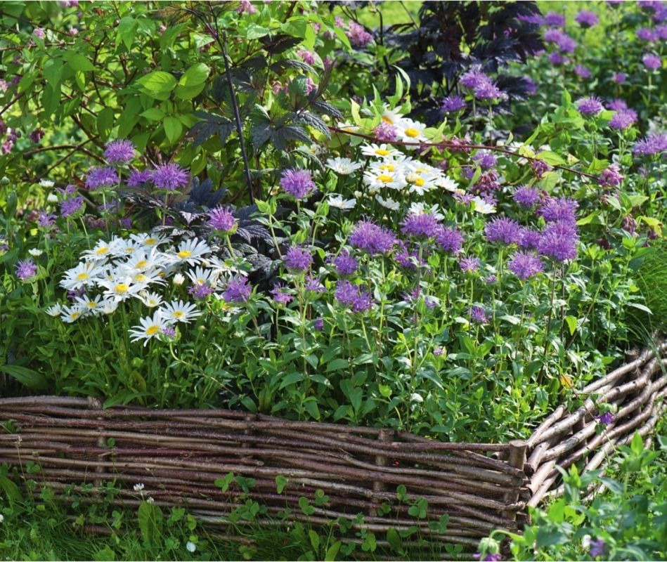 �������� ���������� ������: �������� ���� ��� ���������� ������ � ���������