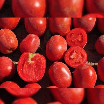 ����� ����������: ������� ��������� ������ �� ����� �������