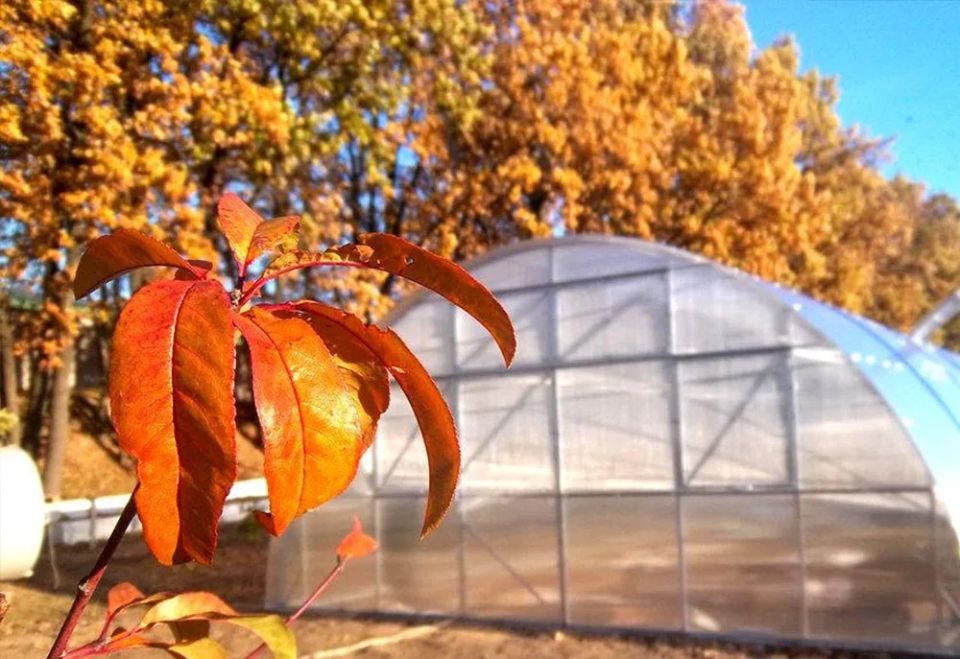 ������� ������ � ������� � ����� ��������� ������