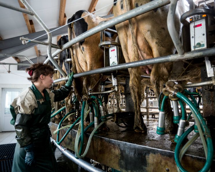 �������������� ������ ������� � ������������ �������� �������