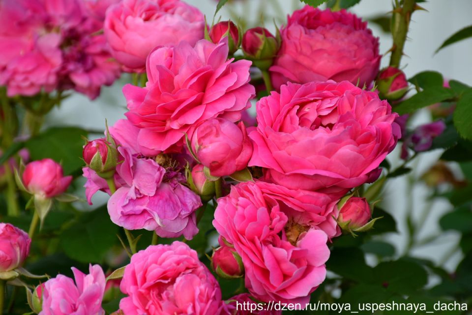 ����� �������� ���: ��� �������� ���� ��� �������������� �����