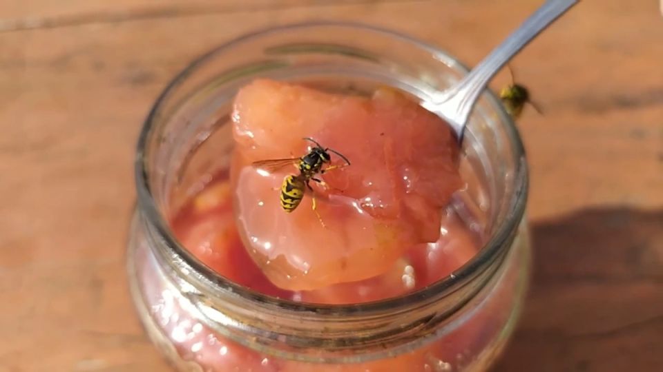 ��������� ������� �� ����: ������� �������������