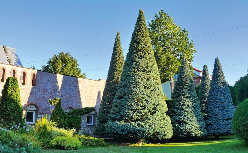 ��� �������� �������� ��� � ���������� � � ����� �������������� ������� ����