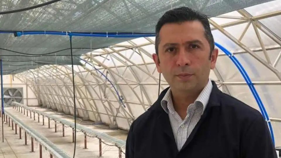 Новый чайный субстрат Teapeat может заменить кокосовый в гидропонике