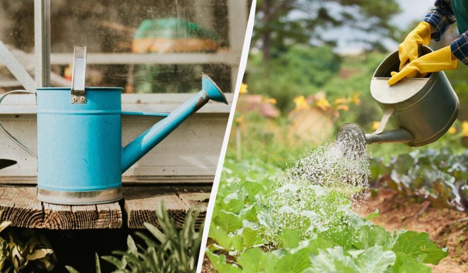 ������ � ������������ ���� � ��� �� ������ ������ ������ ���� �����