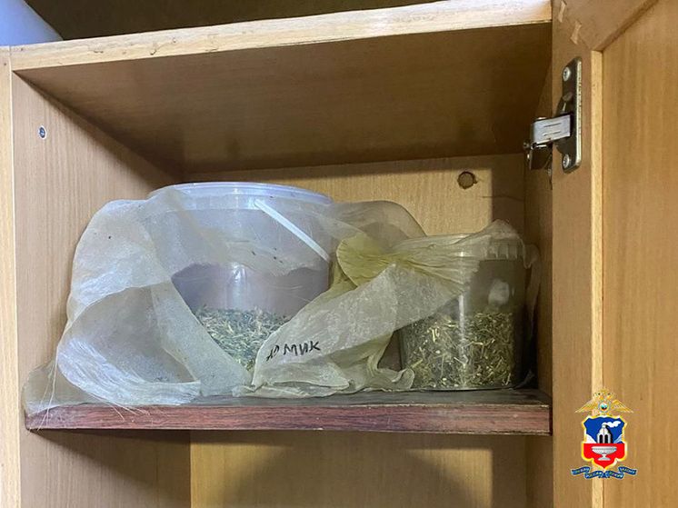 � ������ �������� ������� �����������: 6 �� ������-����� � �����������