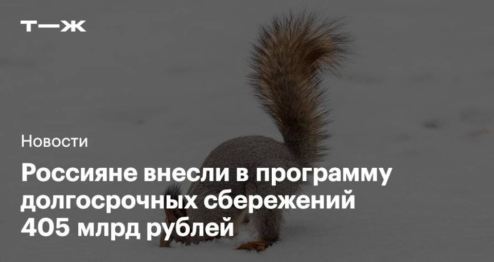 Рекордные 10 миллионов договоров: НПФ на пике популярности