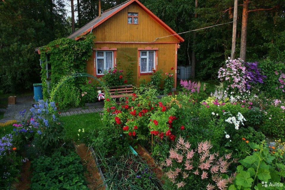 ��� ���������� �� ������� �� ����: ������� ������ ��� ����������� ������