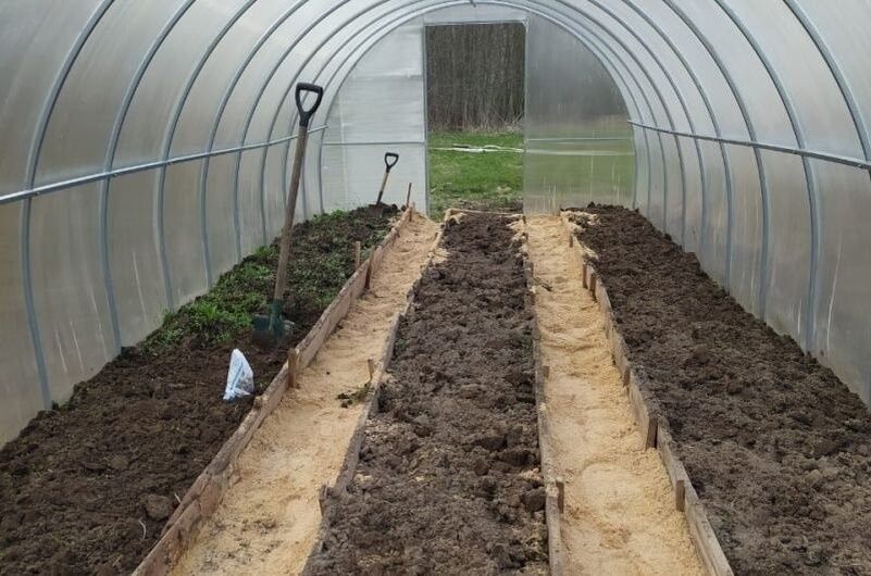 ������� ���������� �������: ������ ���� ��� ��������� ������