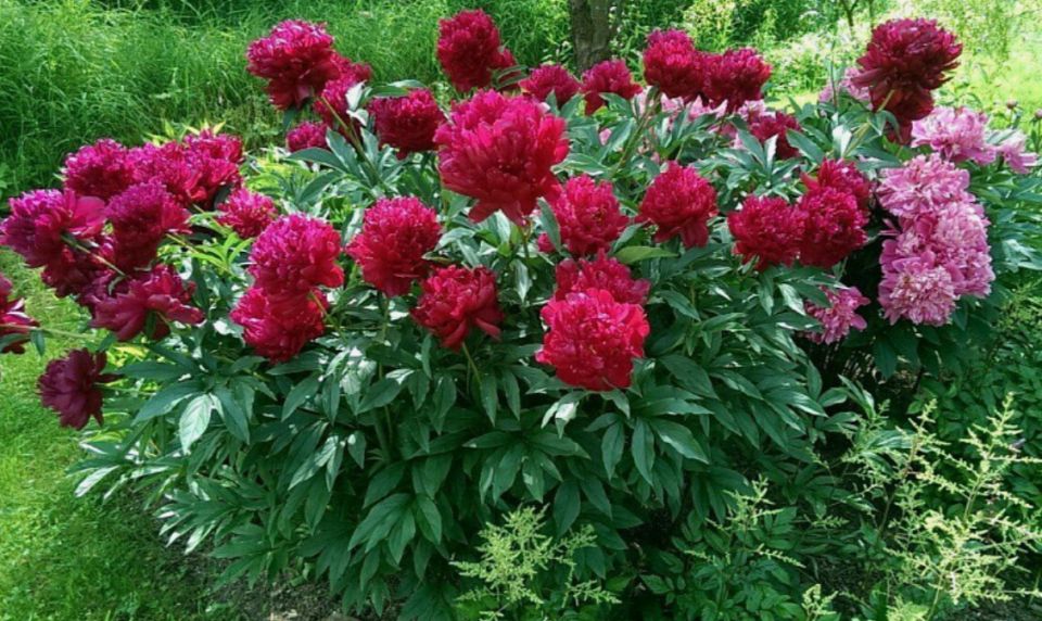 ������������ � �������: ������� � ��������� ��� �����