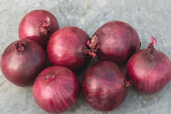 ��� ����� �����: ������� ������ ��� ������ �������