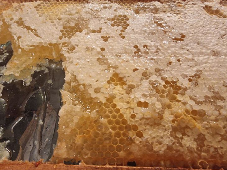 �������� �� ���: ������ ��������, � ������� ������� ��������