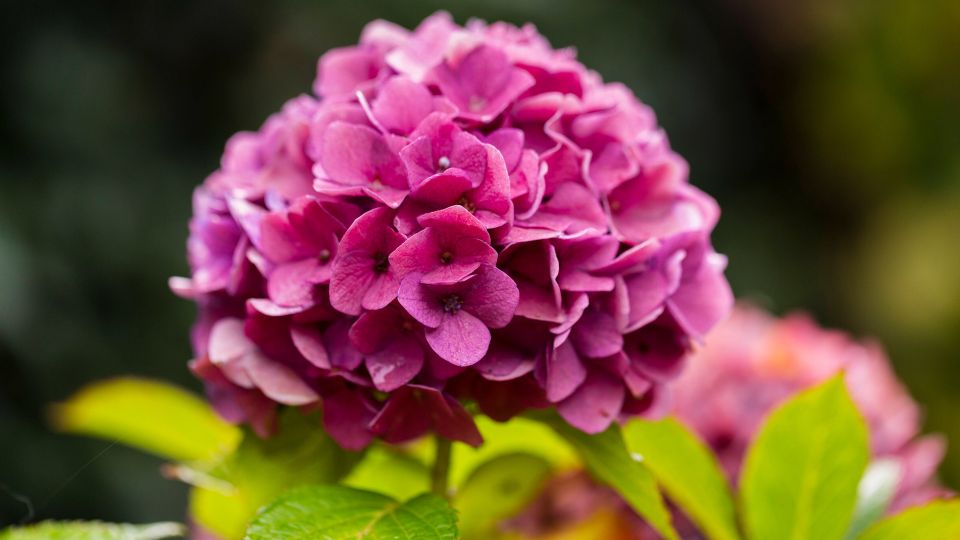 ��������� �������� ��� ������� ���� � ����� �����: ������� ������ ����