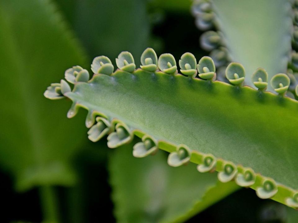 ��� ��������� ������������� �������� � ������ ��� �����