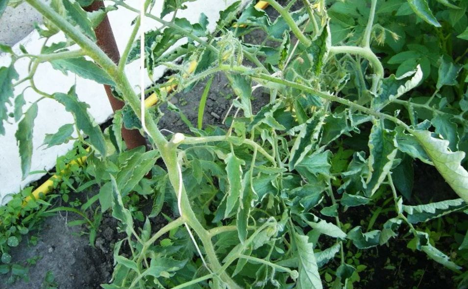 �������� � �������: ��� ������ �������� � �������� ����