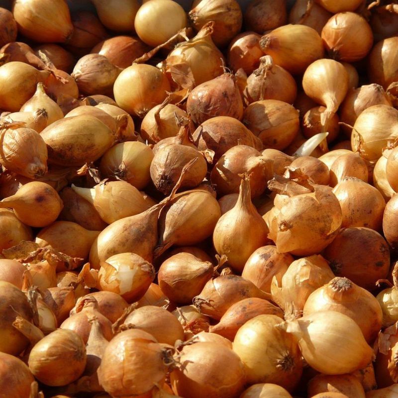 ��� ��������� ������� � �������� ���-����� � �����