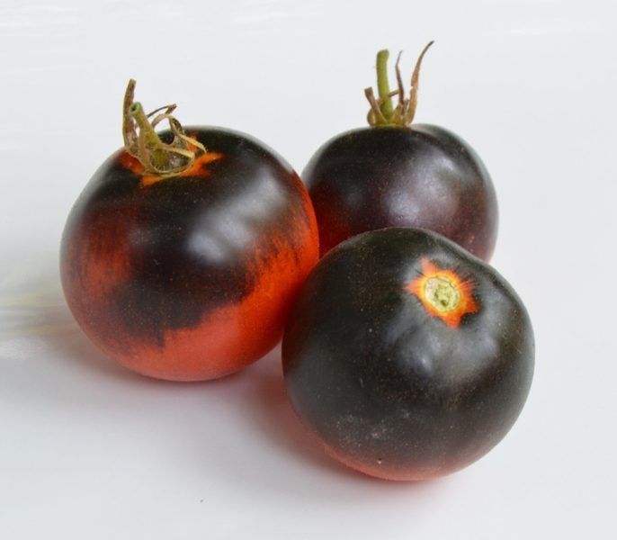 ����� ����� ������� �����: �������� �� ����� ������