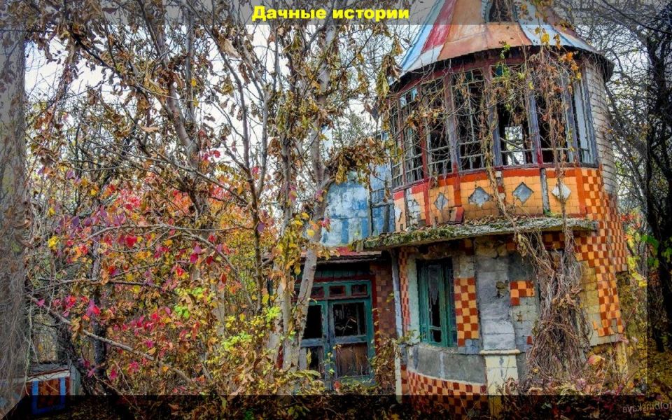 Как вернуть к жизни истощённую землю: советы для садоводов