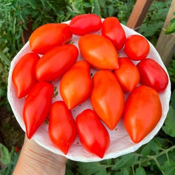 ����� ��������: ������������� ������ � ������� ������� � �������� ������