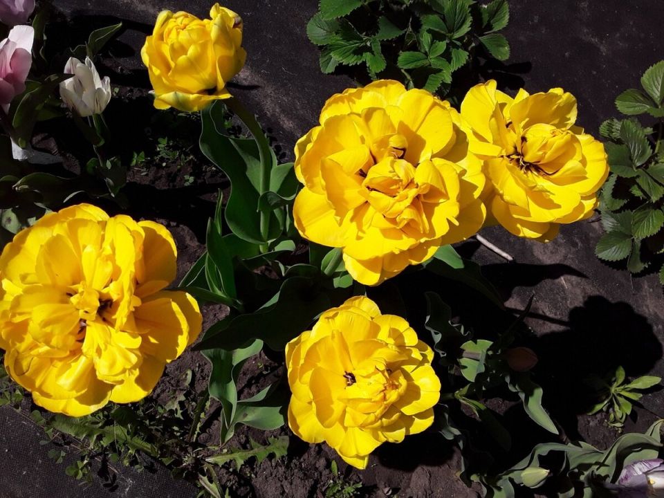 �������� ��� �������: ��� �������� ���� ������� ����� �� �����