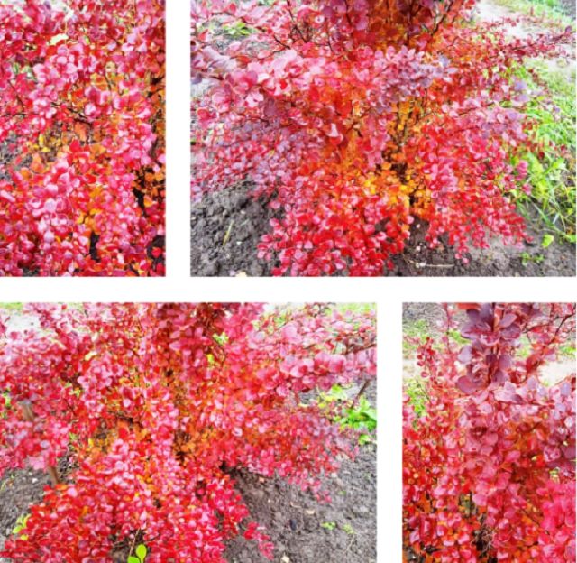 �������� �������� ������������: ��� �� ������������� � ������ ������� ����