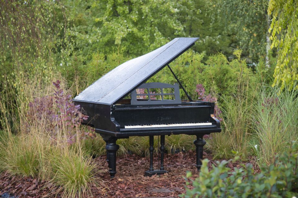 ��������� ������������ ����� � ��������: ����������� � ��� ����� � �������� ���������